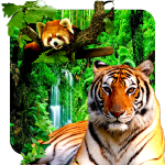 3D animals parallax live wallpaper