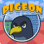 Pigeon — Feel like the king of the streets