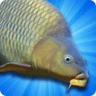 Carp Fishing Simulator — Pike, Perch & More