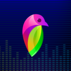 Lovi — Video Maker | Beat Video Maker