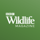 BBC Wildlife Magazine — Animal News, Facts & Photo