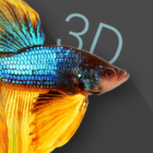 Betta Fish 3D — 3D Live Wallpaper