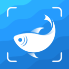 Picture Fish — Fish Identifier