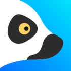 Lemur Browser — extensions